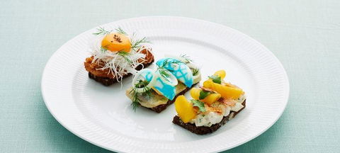 Iron Chef - Nambucca Heads Accommodation 3