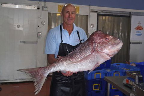Northern Rivers Seafood - Nambucca Heads Accommodation 3