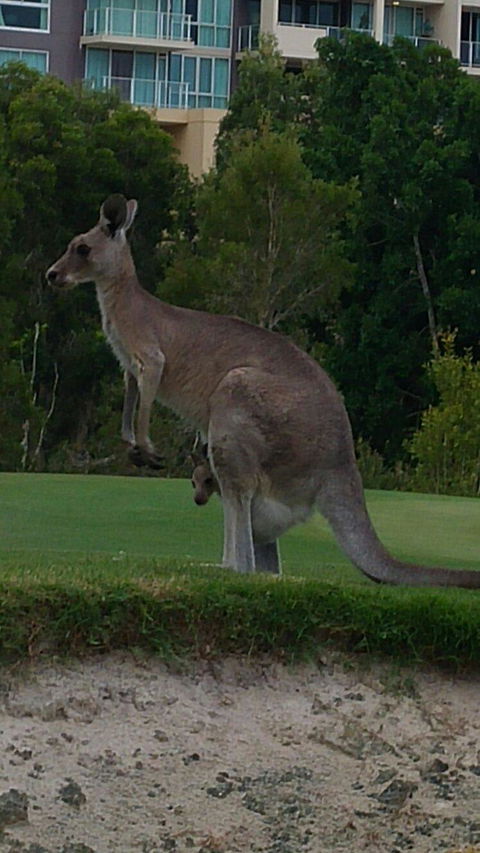 T On Course - Nambucca Heads Accommodation 6