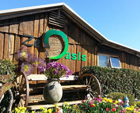 Zen Oasis Vegetarian Restaurant - Nambucca Heads Accommodation 0