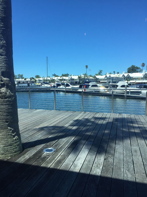 Dragon Cove Chinese Cuisine - Nambucca Heads Accommodation 1