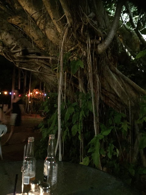 Big Fig Bistro - Nambucca Heads Accommodation 12