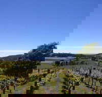 Barringwood Vineyard and Cellar Door Restaurant - Nambucca Heads Accommodation