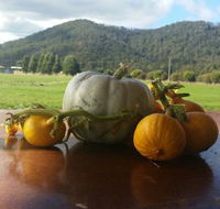 Mount Gnomon Farm - Nambucca Heads Accommodation