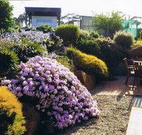 Pipers River Tea House and Crafts - Nambucca Heads Accommodation