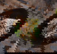 Red Square Cafe - Nambucca Heads Accommodation