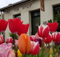 Tiny Tea Shop - Nambucca Heads Accommodation