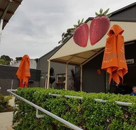 Green Valley Strawberries - Nambucca Heads Accommodation