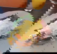 Stock Bar  Grill - Nambucca Heads Accommodation