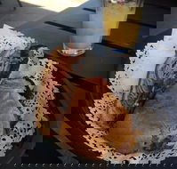 Clove Licensed Restaurant - Nambucca Heads Accommodation