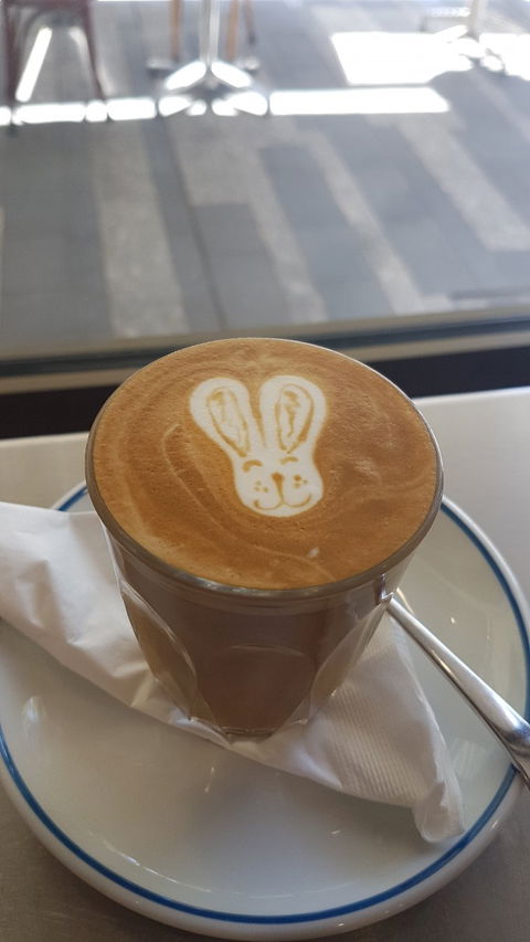 Coffee Dominion - Nambucca Heads Accommodation 4