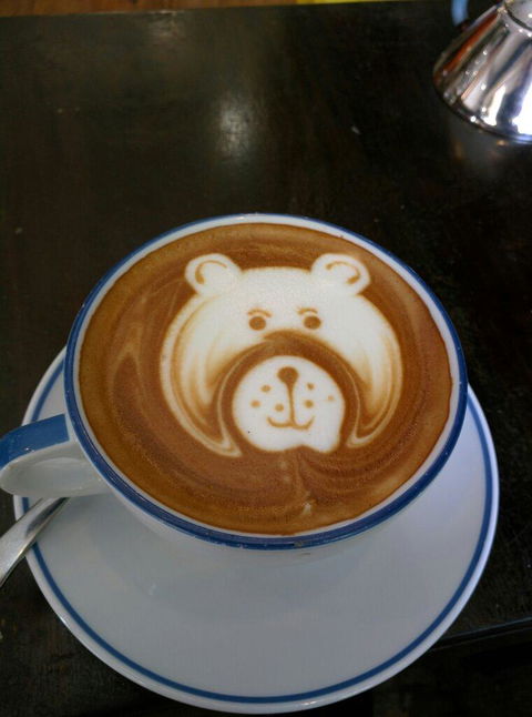 Coffee Dominion - Nambucca Heads Accommodation 5
