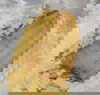 Scotsmans Fish  Chips - Nambucca Heads Accommodation