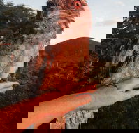 Cafe Anywhere - Nambucca Heads Accommodation