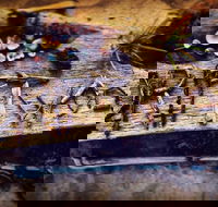 Driftwood Cafe - Nambucca Heads Accommodation