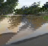 Menzies Steakhouse - Nambucca Heads Accommodation