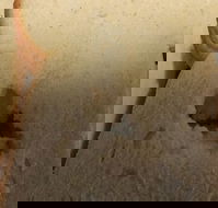 Sugarloaf Baking Co - Nambucca Heads Accommodation