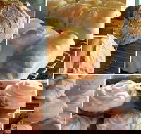 Elegant Emu - Nambucca Heads Accommodation