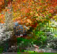 The Woods Ravensbourne - Nambucca Heads Accommodation