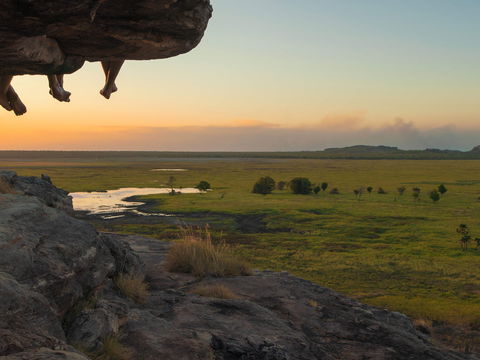 Kakadu Lodge Cooinda, Mngd By Accor - Nambucca Heads Accommodation 16