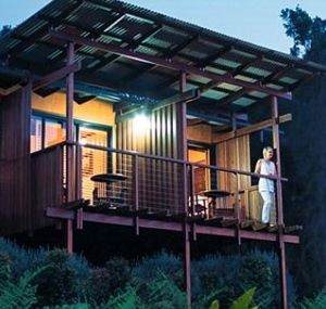 O'Reilly's Rainforest Guesthouse - Nambucca Heads Accommodation 1
