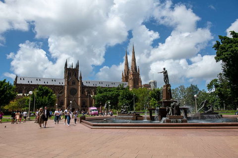 YEHS Hotel Sydney Harbour Suites - Nambucca Heads Accommodation 16