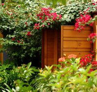 Pink Flamingo - Nambucca Heads Accommodation