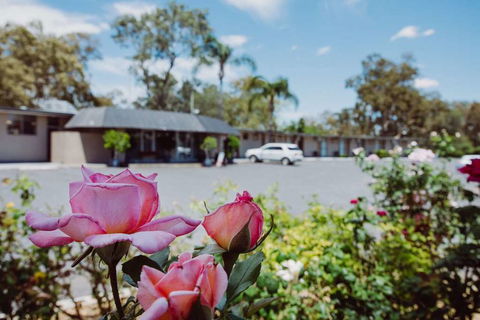 Artesian Spa Motor Inn - Nambucca Heads Accommodation 2