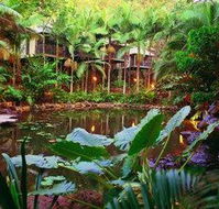 Daintree Eco Lodge  Spa - Nambucca Heads Accommodation