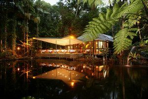 Daintree Eco Lodge & Spa - Nambucca Heads Accommodation 2