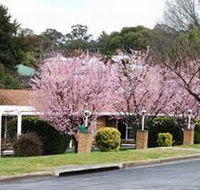 White Lanterns Motel - Nambucca Heads Accommodation