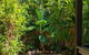 Palms City Resort - thumb 7