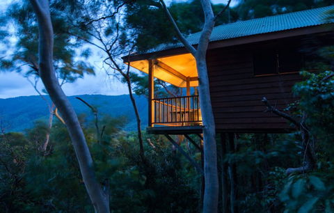 Thala Beach Nature Reserve - Nambucca Heads Accommodation 0