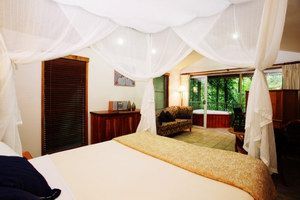 Daintree Eco Lodge & Spa - Nambucca Heads Accommodation 1