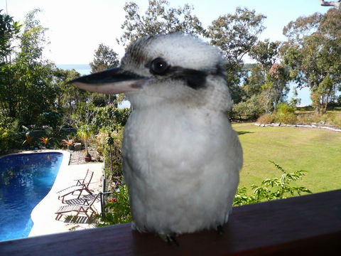 Yarrandabbi Dreaming Boutique B&B - Nambucca Heads Accommodation 2