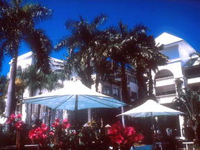 Alamanda Palm Cove - Nambucca Heads Accommodation 1