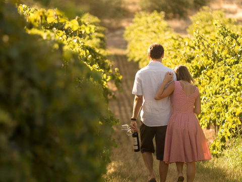 Novotel Barossa Valley Resort - Nambucca Heads Accommodation 1