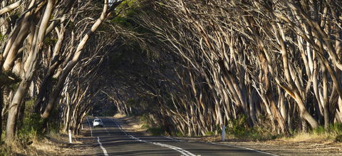 Mercure Kangaroo Island Lodge - Nambucca Heads Accommodation 40