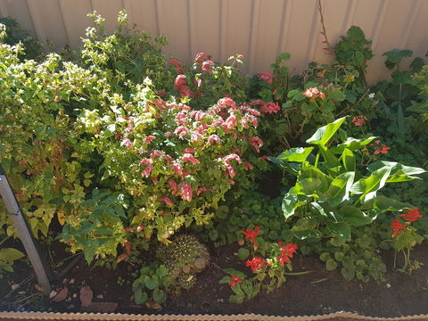 Tanunda\'s Magpie House - Nambucca Heads Accommodation 24