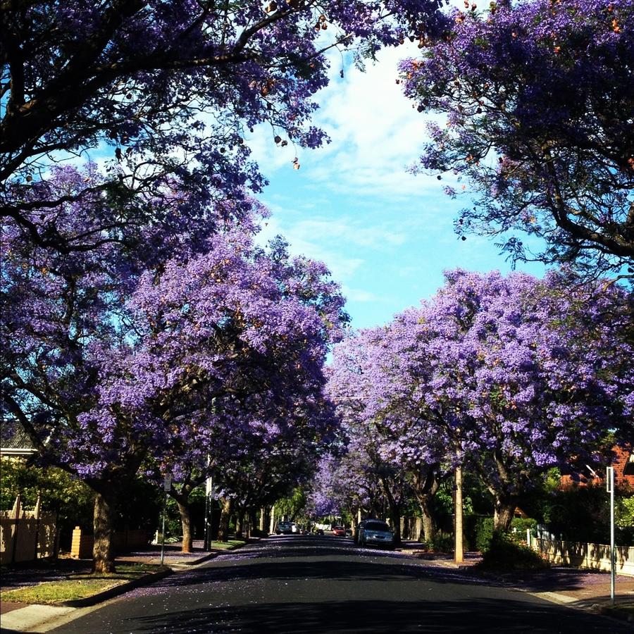 Millswood SA Nambucca Heads Accommodation