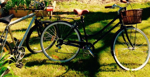 A Rose By The Park - Nambucca Heads Accommodation 14