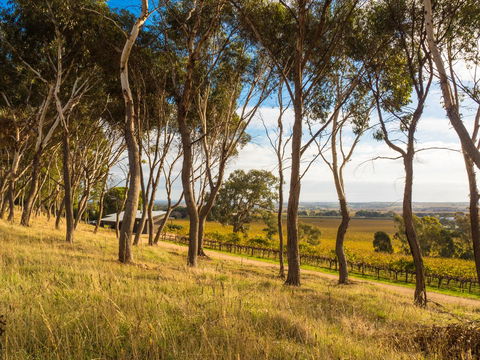 Shadow Creek McLaren Vale - Nambucca Heads Accommodation 5
