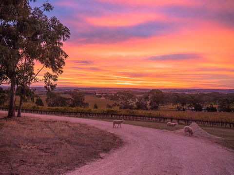 Shadow Creek McLaren Vale - Nambucca Heads Accommodation 24