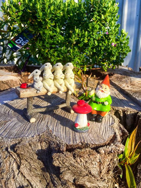 Inglenook Cottage - Nambucca Heads Accommodation 34