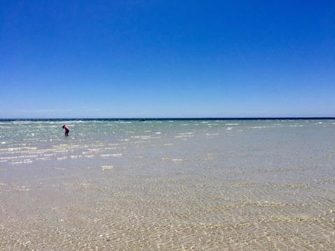 Inglenook Cottage - Nambucca Heads Accommodation 37