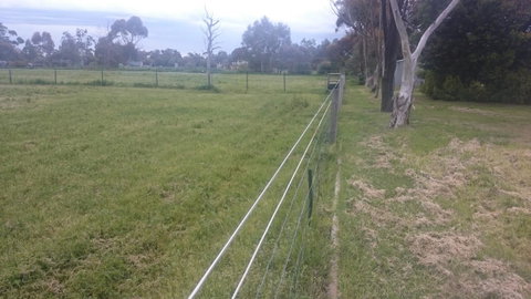 Gaerwood B&B - Nambucca Heads Accommodation 17