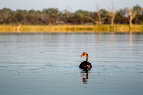 Discovery Parks - Lake Bonney - Nambucca Heads Accommodation 36