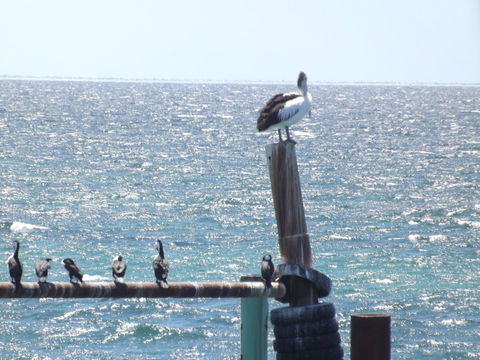 Home On Torrens - Nambucca Heads Accommodation 10