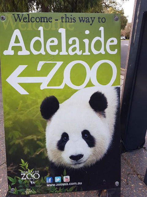 Adelaide Style Accommodation-Close To City-North Adelaide-3 Bdrm- FREE Parking - Nambucca Heads Accommodation 35