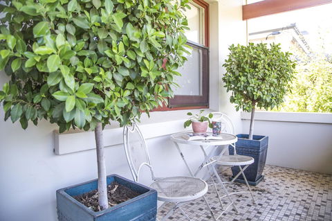 Mataro Cottage - Nambucca Heads Accommodation 2